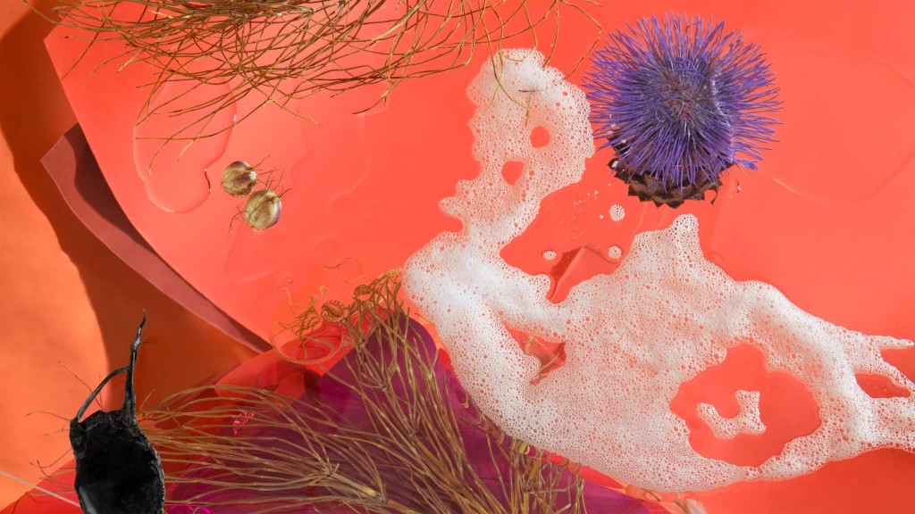 thistle-4000px-16:9-1